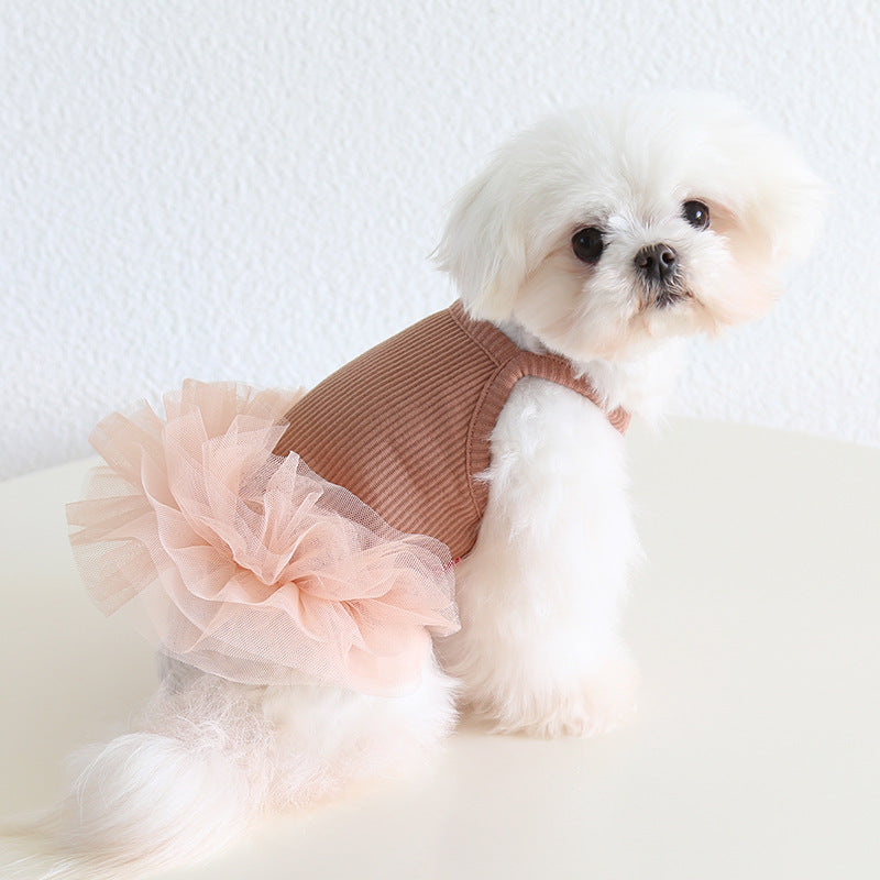 Dog Cat Clothing Pet Clothing Birthday Party 086