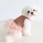 Dog Cat Clothing Pet Clothing Birthday Party 086