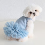 Dog Cat Clothing Pet Clothing Birthday Party 086