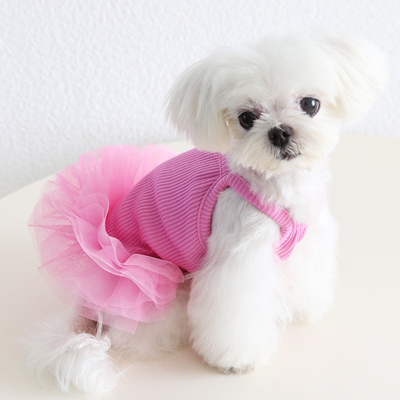 Dog Cat Clothing Pet Clothing Birthday Party 086