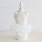 Dog Cat Clothing Pet Clothing Birthday Party 086