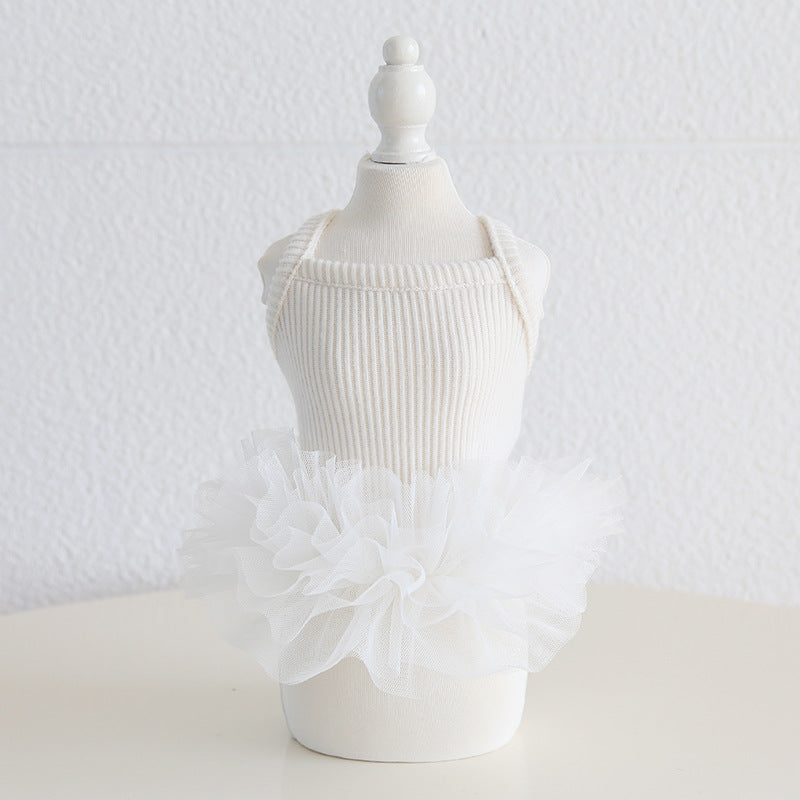 Dog Cat Clothing Pet Clothing Birthday Party 086