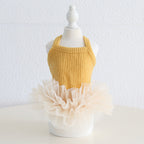 Dog Cat Clothing Pet Clothing Birthday Party 086