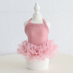 Dog Cat Clothing Pet Clothing Birthday Party 086