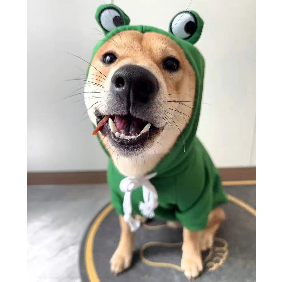 Dog, cat, pet hooded cotton jacket, autumn and winter fleece warm frog hoodie 307