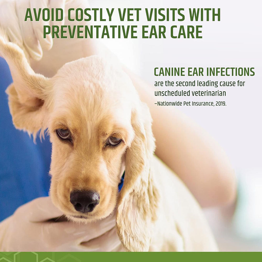 Pet ear cleaning wipes with anti itch and anti infection properties, 100 pack with aloe vera scent 306