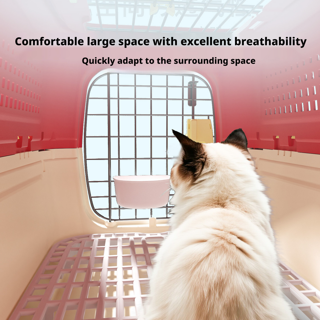 Co branded pet aviation box, cat specific transport box, portable small and medium-sized dog 321