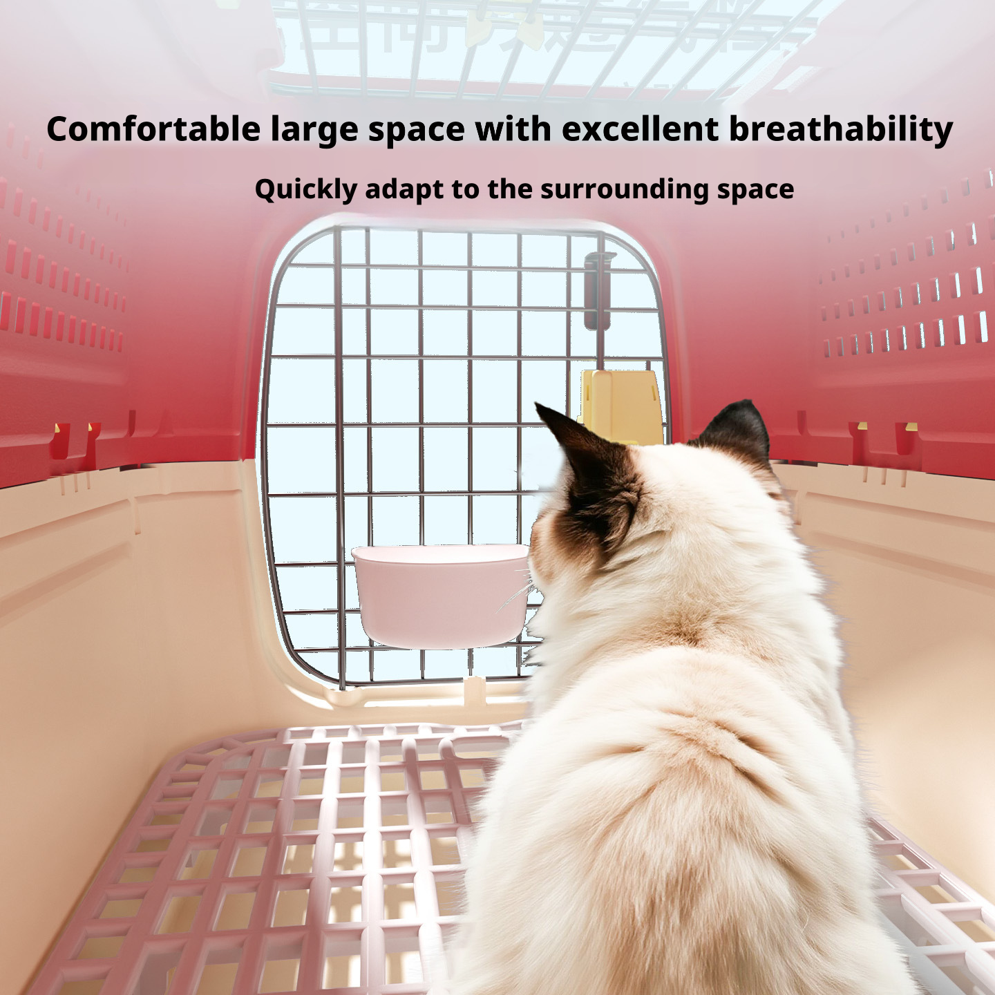 Co branded pet aviation box, cat specific transport box, portable small and medium-sized dog 321
