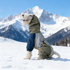 Pet outdoor cold suit skiing with cotton dog jacket 167