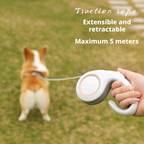 Pet dog Teddy automatic retractable towing rope 034