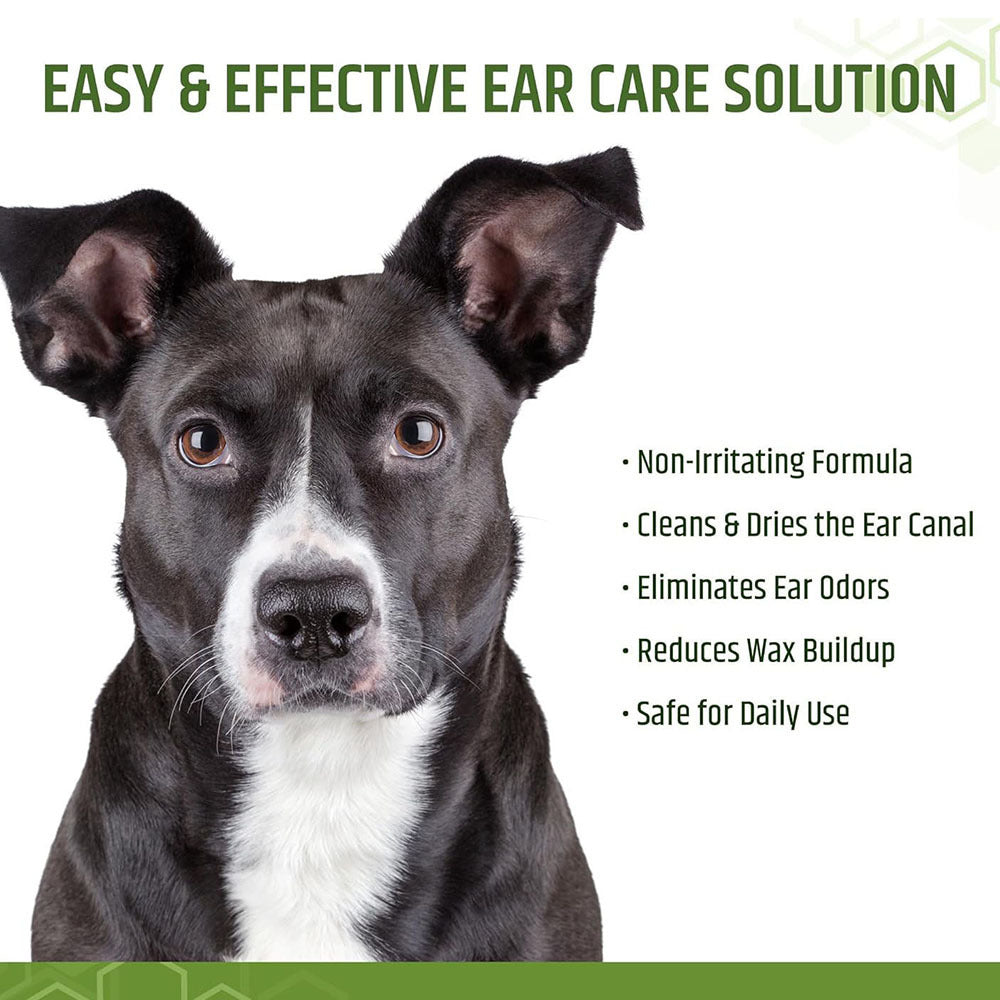 Pet ear cleaning wipes with anti itch and anti infection properties, 100 pack with aloe vera scent 306