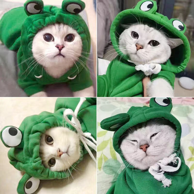 Dog, cat, pet hooded cotton jacket, autumn and winter fleece warm frog hoodie 307