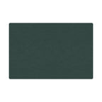 Soft diatomaceous earth absorbent mat  toilet door anti-slip quick-drying mat 018