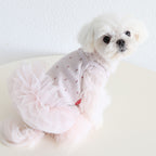 Dog Cat Clothing Pet Clothing Birthday Party 086