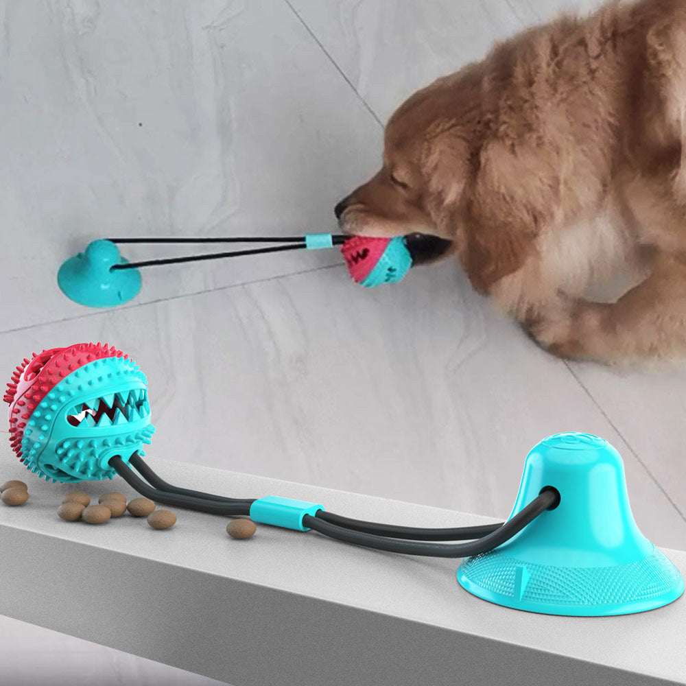 Teeth grinding food dispenser, chew resistant ball, suction cup dog toy 222