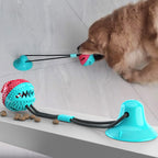 Teeth grinding food dispenser, chew resistant ball, suction cup dog toy 222