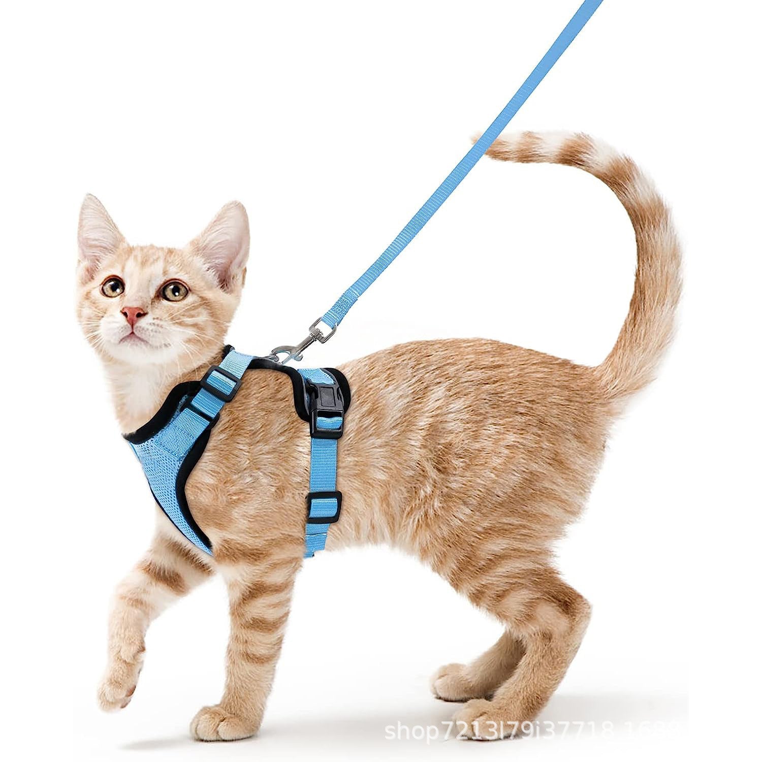 Pet supplies, breathable chest straps for cats, reflective anti slip, cat walking rope 257