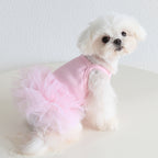Dog Cat Clothing Pet Clothing Birthday Party 086