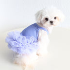 Dog Cat Clothing Pet Clothing Birthday Party 086